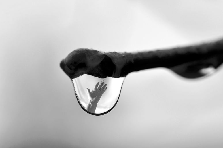 Reaching for the Rain