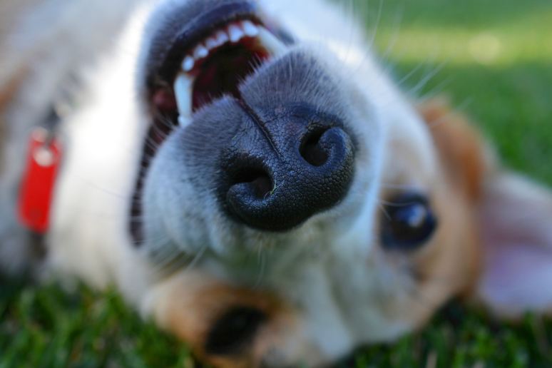 All Play on Labor Day