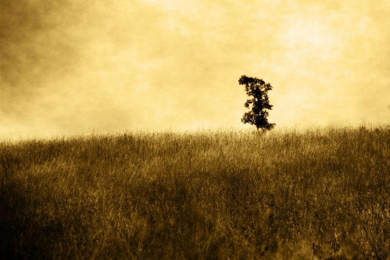 Alone on the Prairie