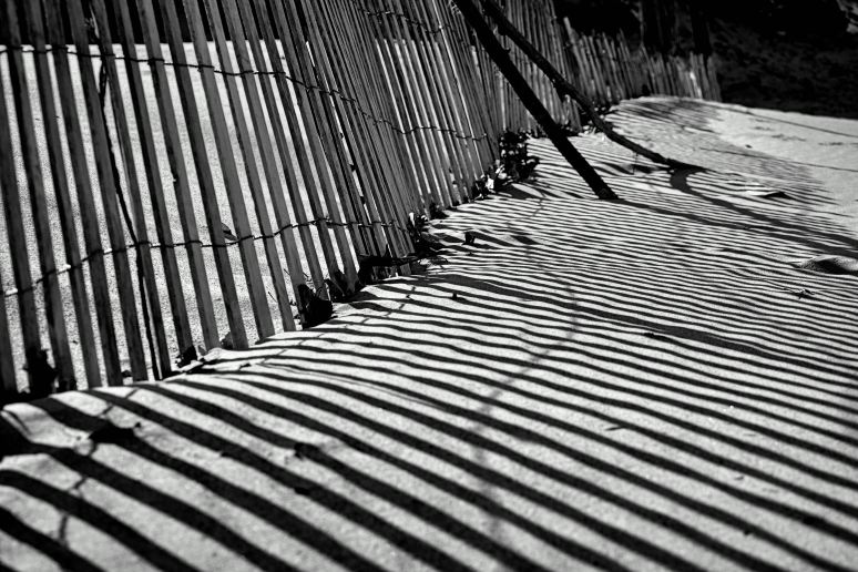 Shadows at the Dunes