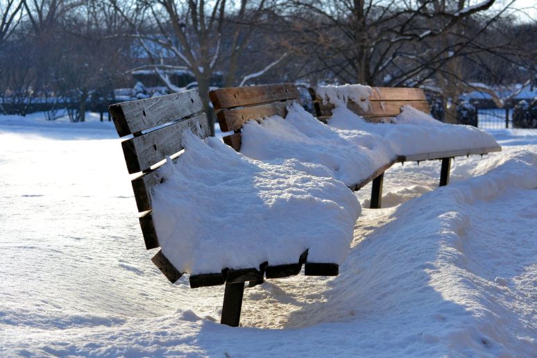 The Benches of Cantigny