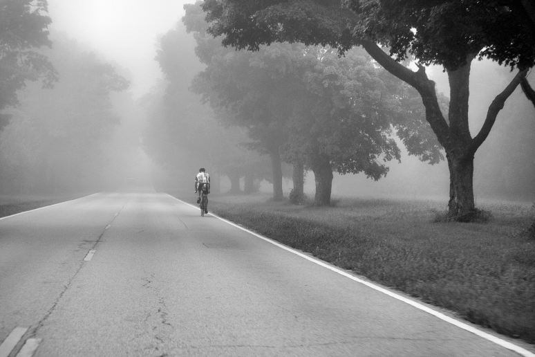 Riding into the Fog