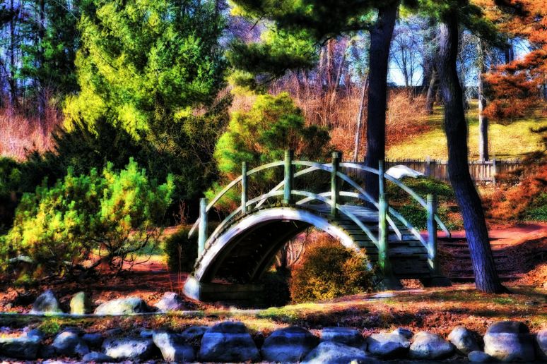 Shadows on the Bridge