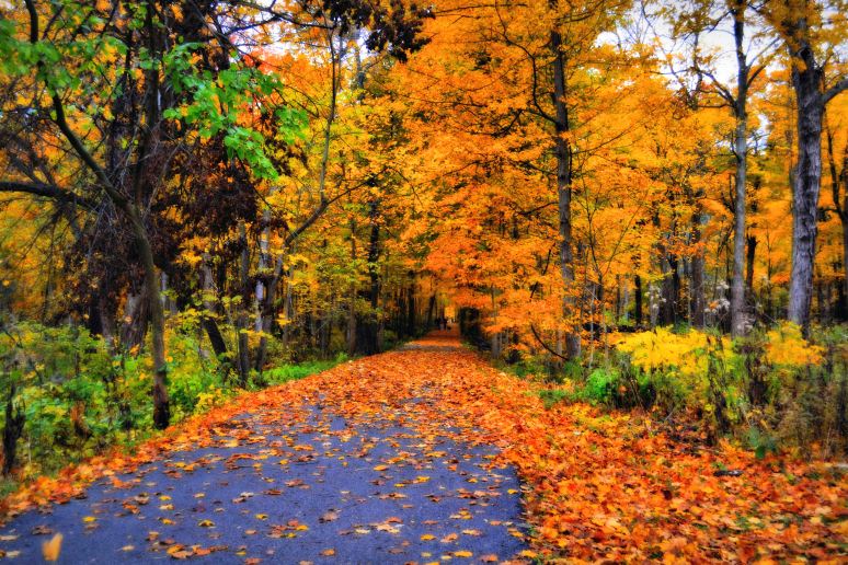 A Perfect Fall Afternoon