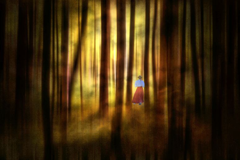 The Enchanted Forest Artistic