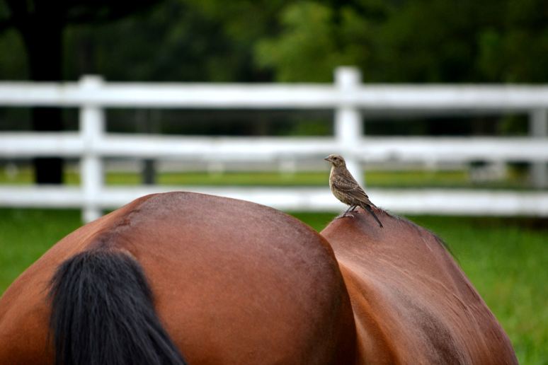 Going Out for a Ride