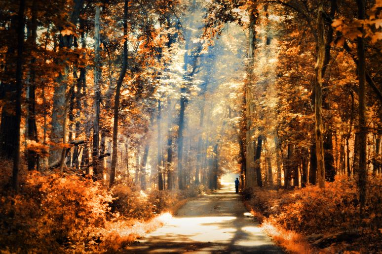 morning-stream-of-light-art